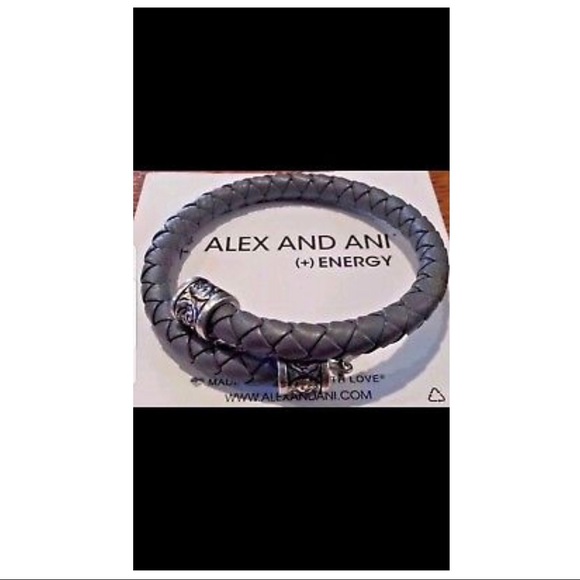 Alex and Ani Jewelry - Alex and Ani Braided Bracelet